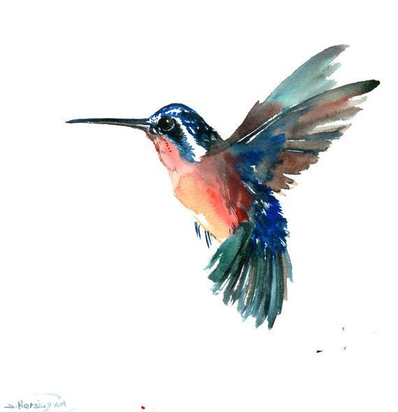 570x590 Willing To Become Unique And Bring Vivid Colors To Their Lives - Hummingbird Watercolor Painting