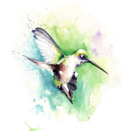 500x500 Golden Skies Original Painting Watercolor Animal Paintings - Hummingbird Watercolor Painting