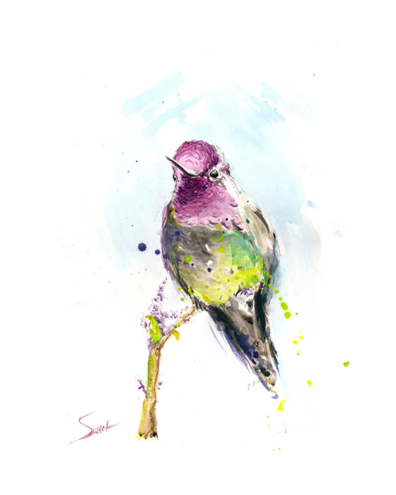 560x700 Hummingbird Artwork Hummingbird Watercolor Bird Painting - Hummingbird Watercolor Painting