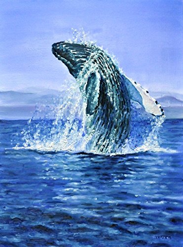 Humpback Whale Painting at PaintingValley.com | Explore collection of ...