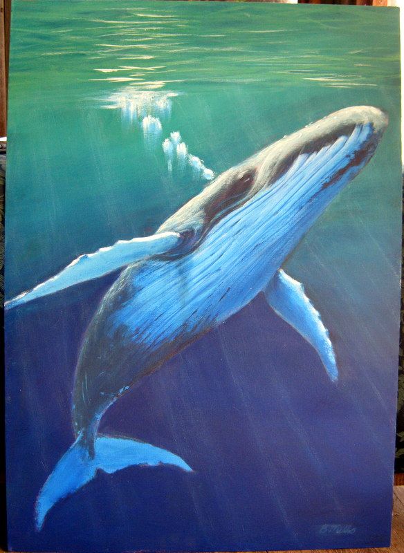 584x800 Humpback Whale, Acrylic Painting By Barbara Mills @ A Workshop - Humpback Whale Painting
