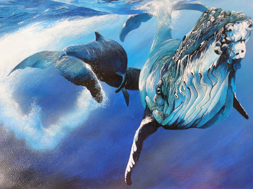 500x375 Painting Of Humpback Whales Tony Wu Underwater Photography - Humpback Whale Painting