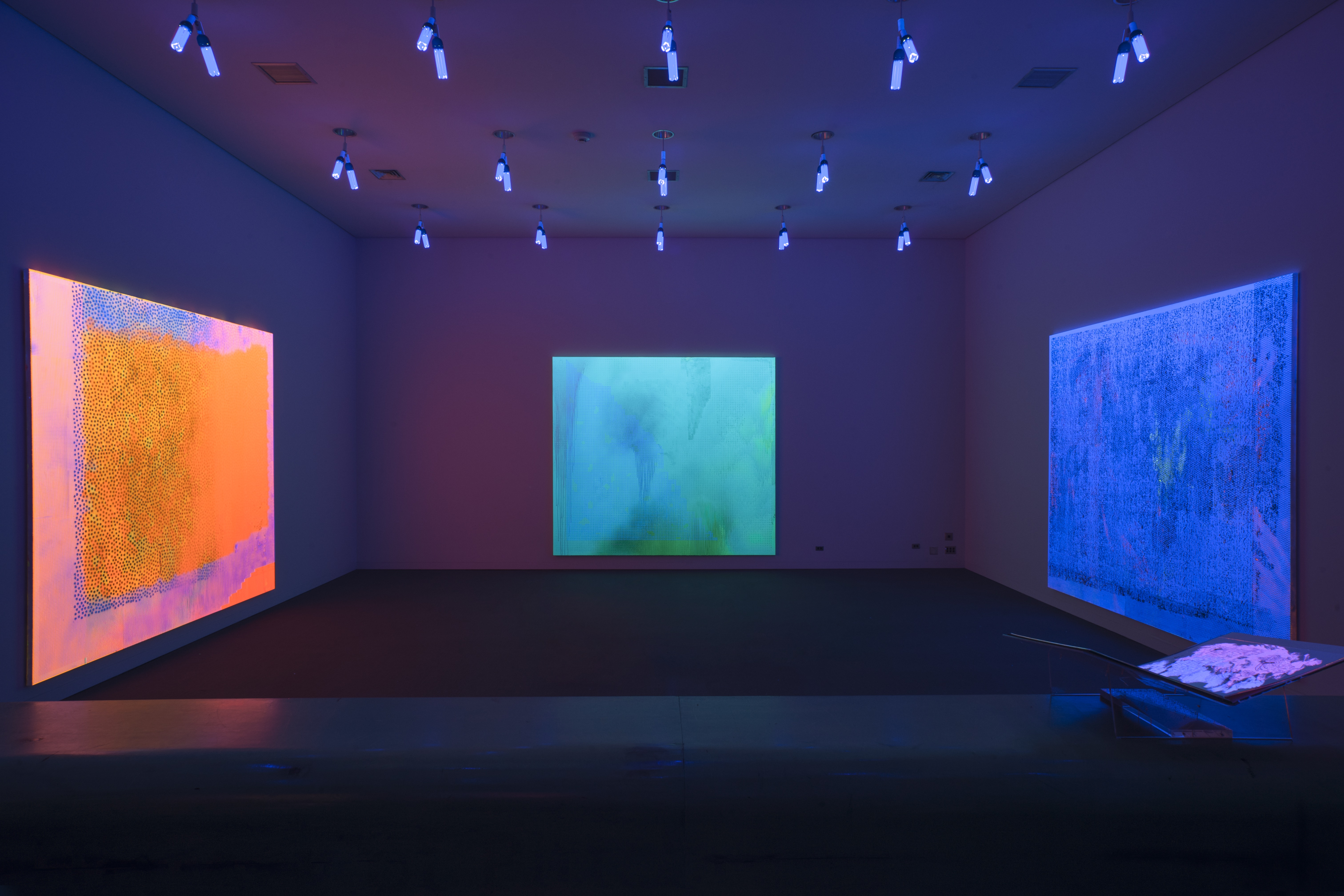 6048x4032 The Thrilling Feeling Of Creating Light' Jacqueline Humphries - Humphries Painting