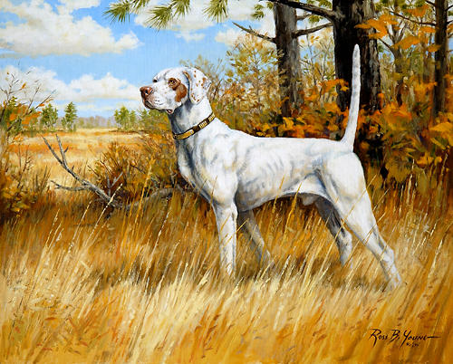 500x402 Quicksilver Gold, Hunting Dog Artwork - Hunting Dog Oil Painting