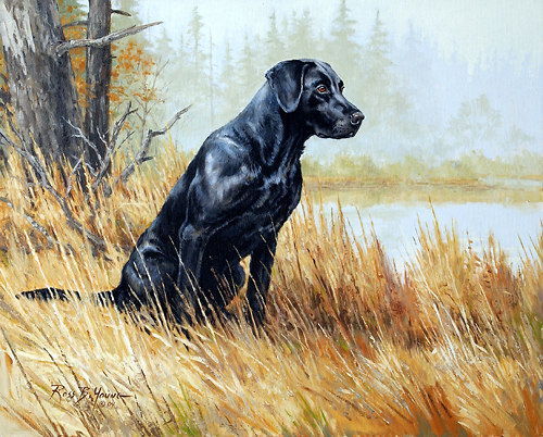 500x402 Creek Robber, Hunting Dog Artwork - Hunting Dog Oil Painting