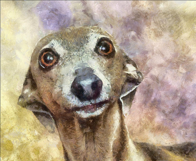 752x616 English Hound Hunting Dog Painting By Georgi Dimitrov - Hunting Dog Painting