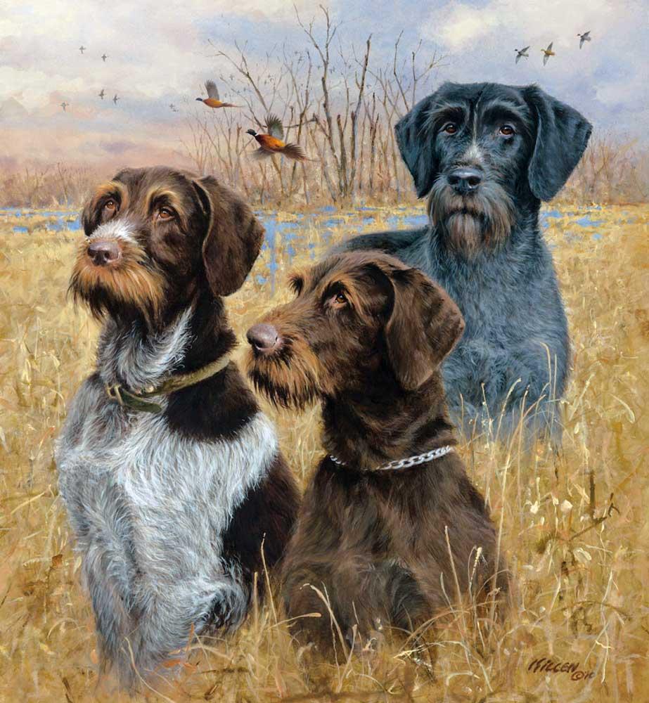 923x1000 Great Hunting Dogs Ii Drahthaars Painting By Jim Killen - Hunting Dog Painting