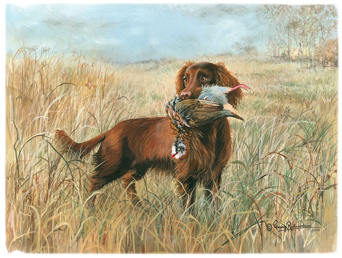 Картинки с охотниками и собаками