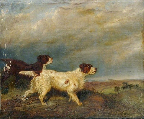 500x413 Two Hunting Dogs Painting George Armfield Oil Paintings - Hunting Dog Painting