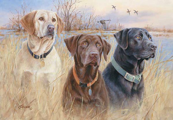 600x419 Wildlife Art Prints Plus Original Paintings With A Wide Selection - Hunting Dog Painting
