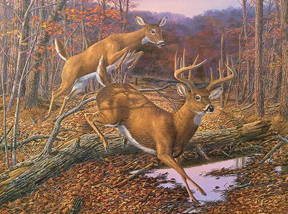 570x423 Deer Wall Decor, Deer Hunting Canvas Art, Large Deer Painting - Hunting Painting