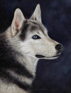229x300 Husky Art Fine Art America - Husky Dog Painting