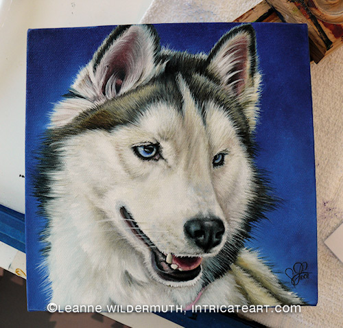 500x478 Leanne Wildermuth Artist By Nature Dog Portraits - Husky Dog Painting