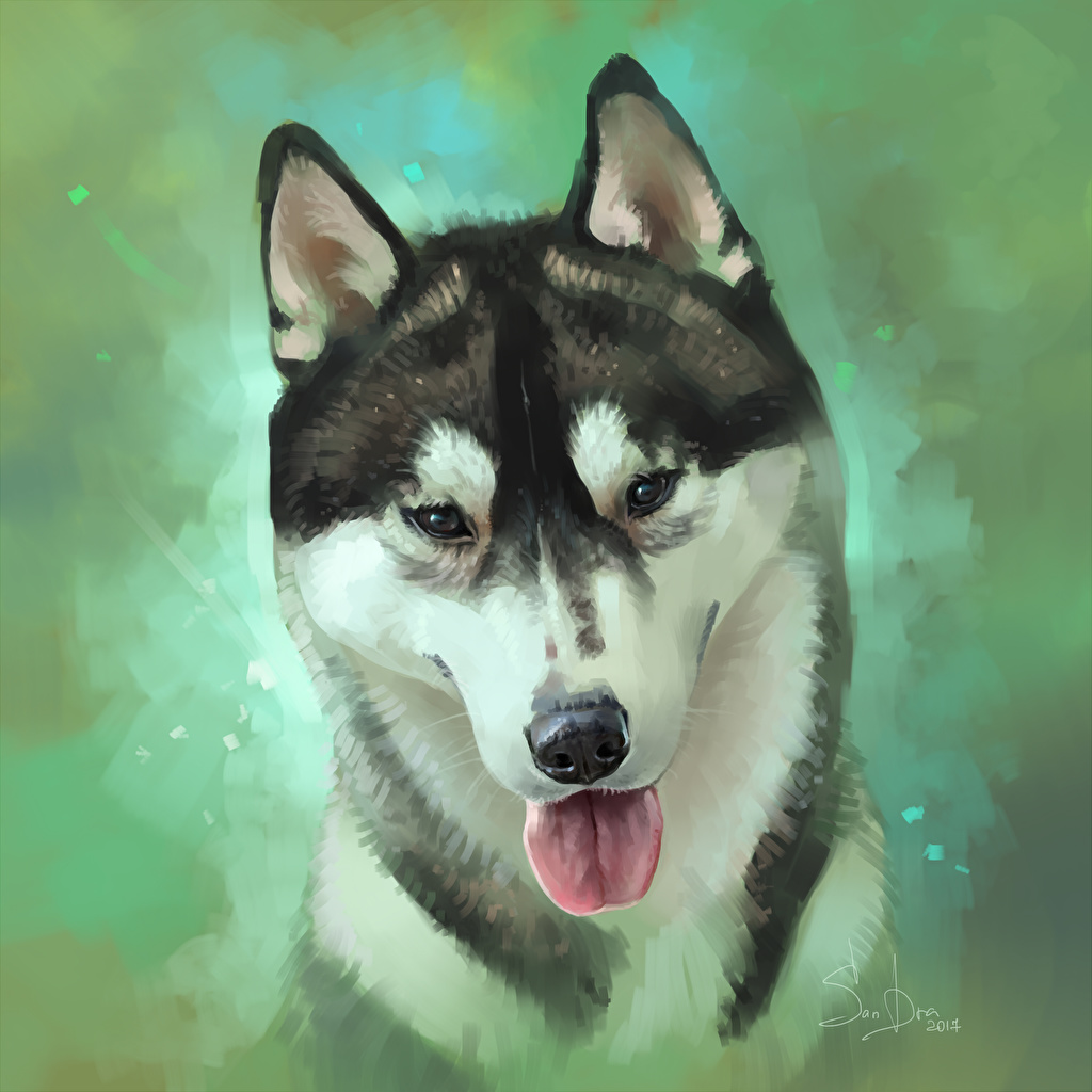 1024x1024 Photo Husky Dogs Siberian Tongue Head Animals Closeup Painting Art - Husky Dog Painting
