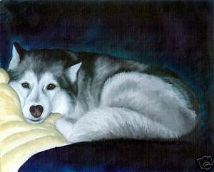300x242 Siberian Husky Dog Art Print Of Original Oil Painting Ebay - Husky Dog Painting