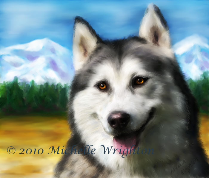 700x598 Siberian Husky Dog Pet Portrait Painting - Husky Dog Painting