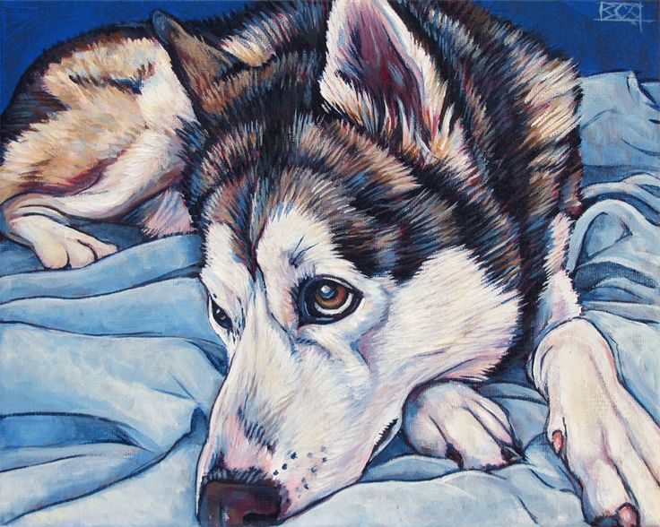 736x588 The 190 Best Wolves Huskies Images On Fox, Wolf Dogs - Husky Dog Painting