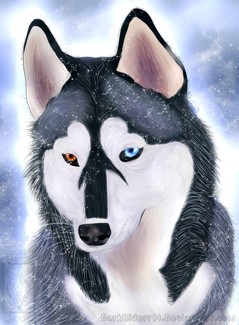 767x1041 Husky Painting By Darkryderr - Husky Painting