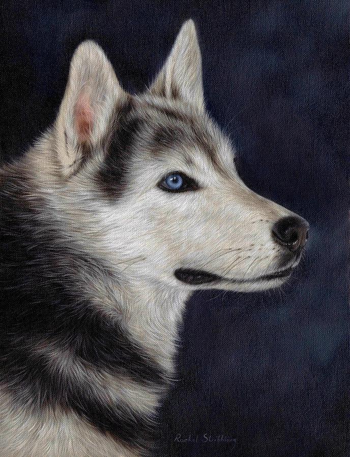 688x900 Husky Portrait Painting Painting By Rachel Stribbling - Husky Painting