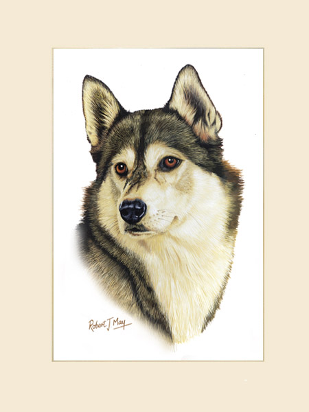 450x600 Original Siberian Husky Painting - Husky Painting