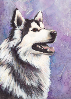 250x350 Siberian Husky Paintings - Husky Painting