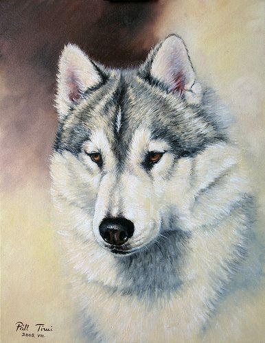 386x500 Siberian Husky Painting Siberian Huskies, Paintings - Husky Painting