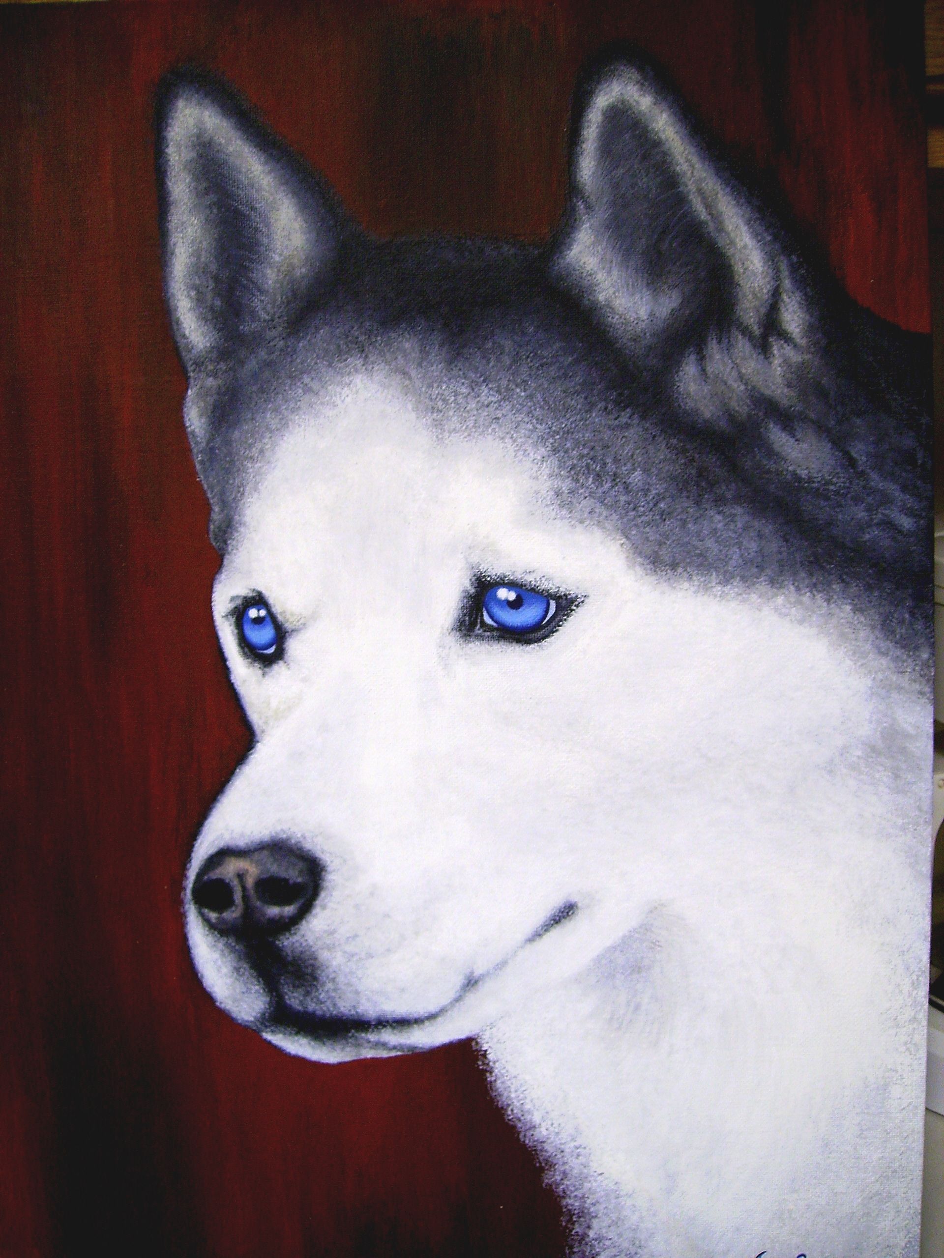 1920x2560 Husky - Husky Painting