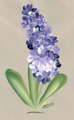 248x400 One Stroke Painting - Hyacinth Painting