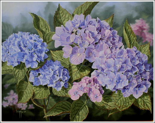 Hydrangea Oil Painting at PaintingValley.com | Explore collection of ...