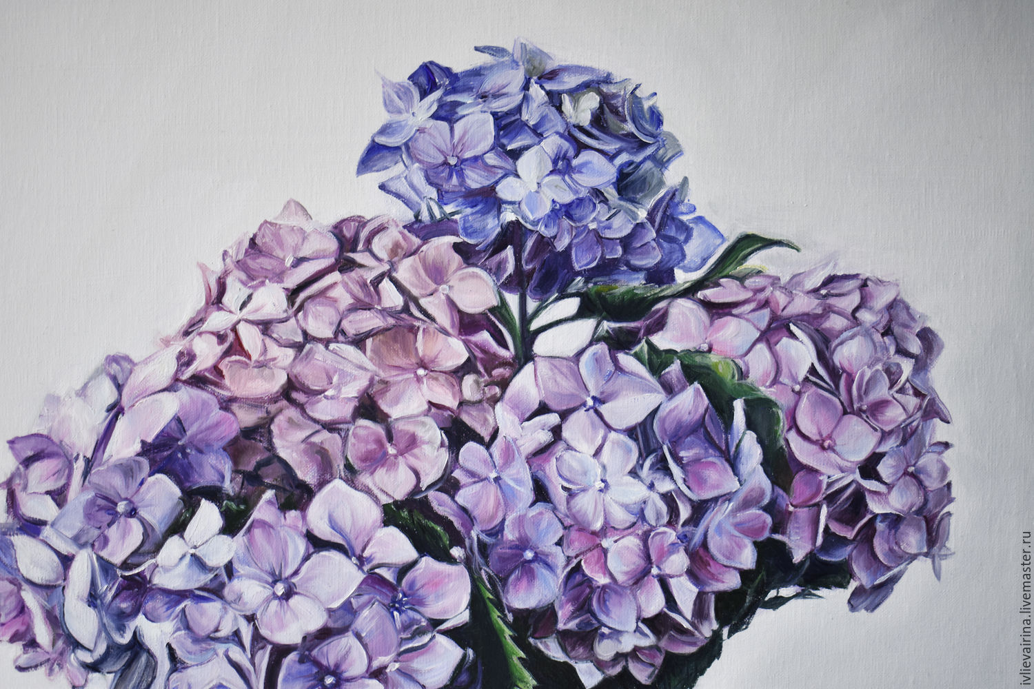 1500x1000 Oil Painting Of Hydrangea In A Vase 61h61 Cm Shopline - Hydrangea Oil Painting