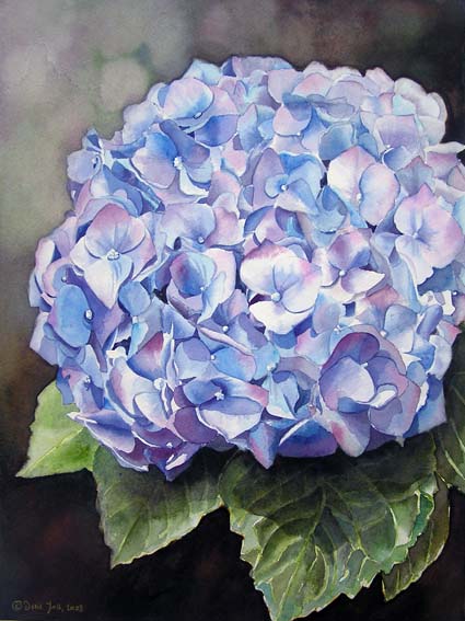 425x567 Blue Hydrangea - Hydrangea Oil Painting