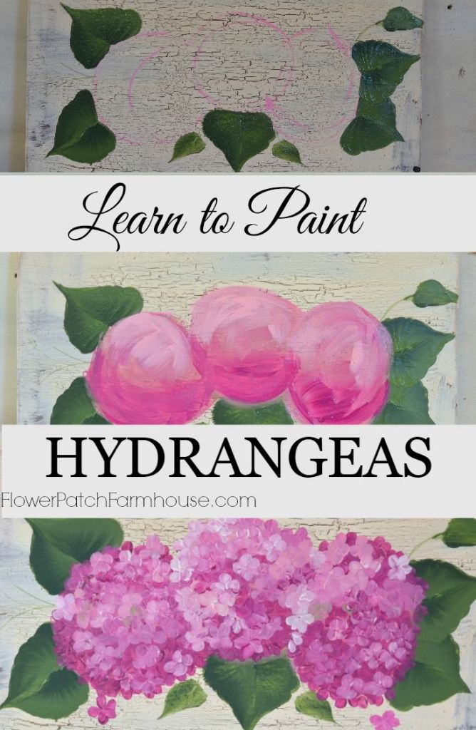 668x1024 How To Paint Hydrangeas In Acrylics. One Stroke - Hydrangea Painting Acrylic