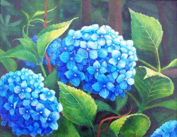 570x441 Acrylic, 11x14 Painting Of Blue Hydrangea Hydrangea - Hydrangea Painting Acrylic