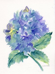 Hydrangea Watercolor Painting