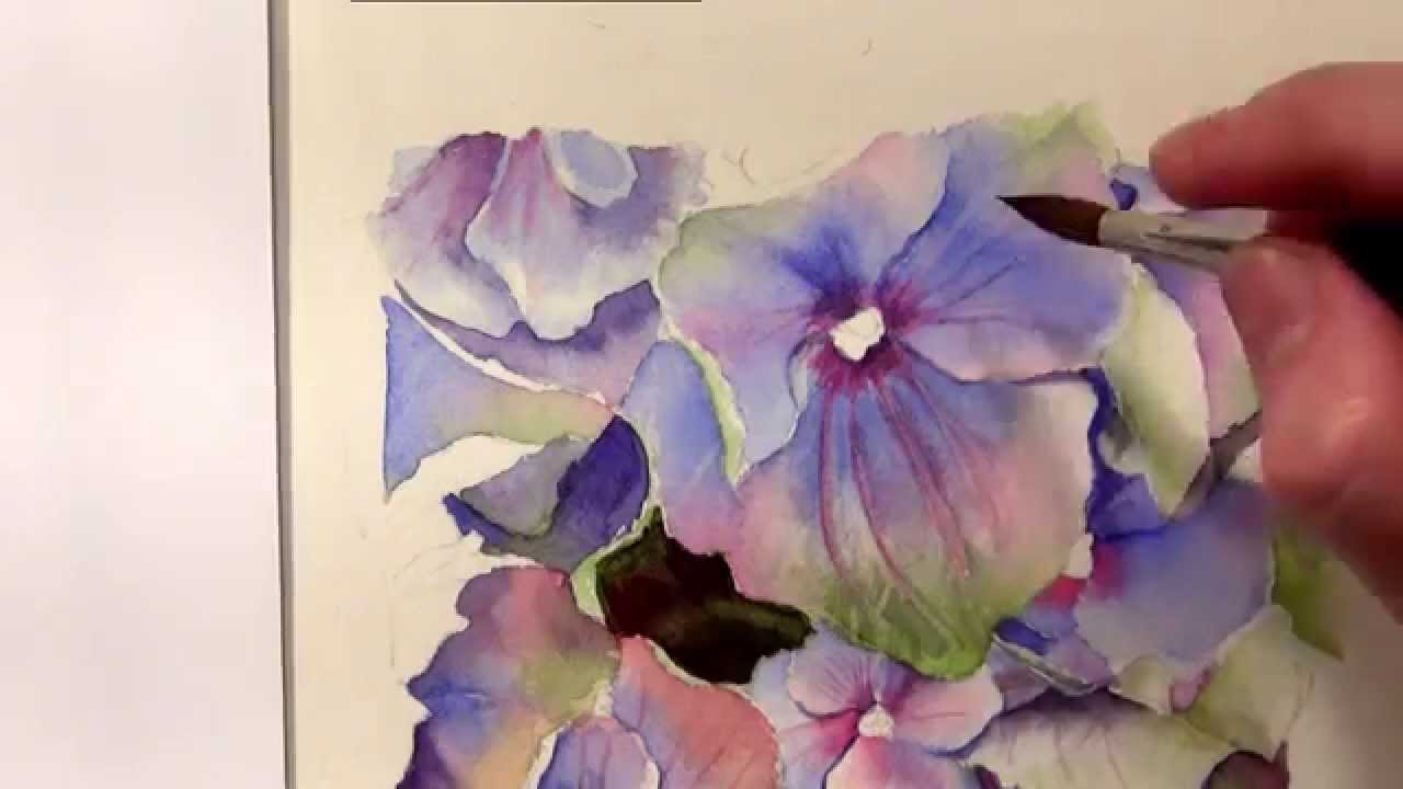 1280x720 How To Paint Hydrangeas In Watercolor - Hydrangea Watercolor Painting