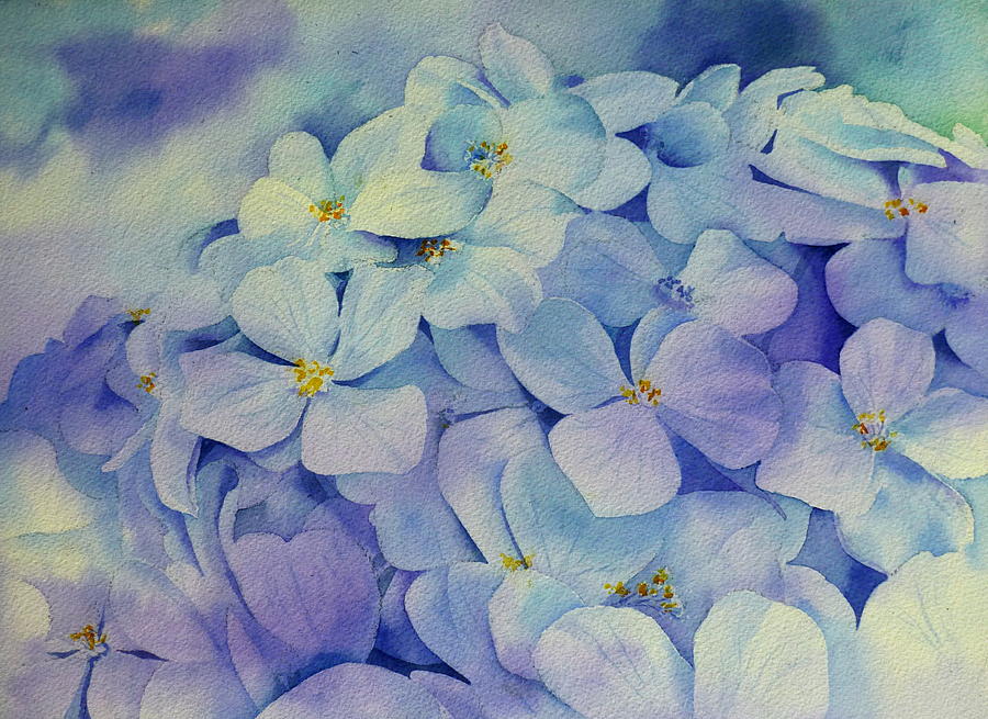 900x655 Hydrangea 2 Painting By Thomas Habermann - Hydrangea Watercolor Painting