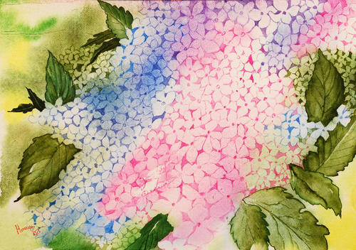 500x352 Hydrangea Flowers Paintings - Hydrangea Watercolor Painting