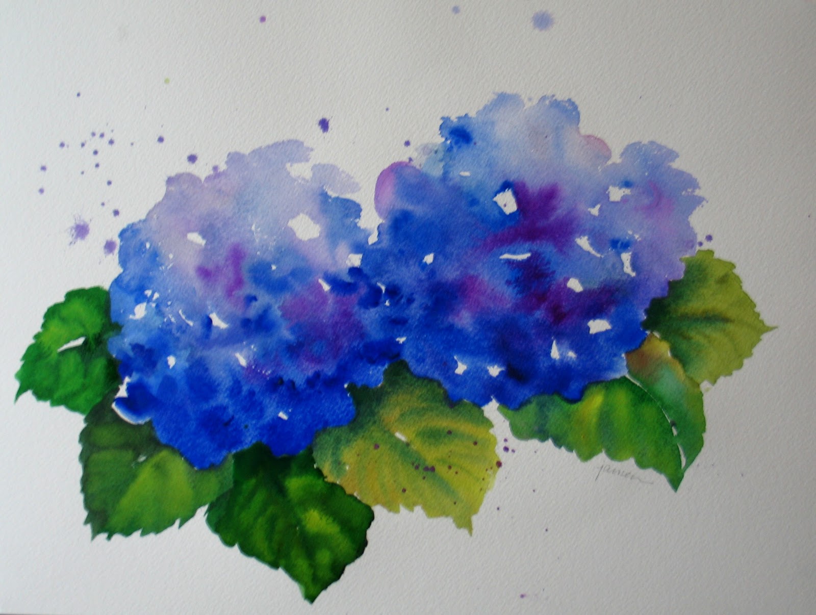 1600x1206 Nel's Everyday Painting Hydrangea Watercolors - Hydrangea Watercolor Painting
