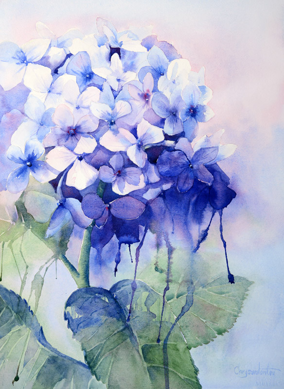 584x800 Blue Hydrangea Watercolor Painting By Chrysovalantou Laptop Skin - Hydrangea Watercolor Painting