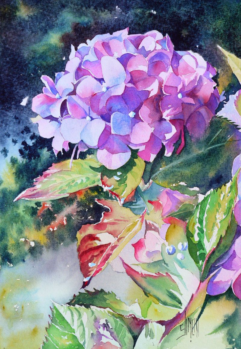 800x1155 Hortensia Simon Water + Color Watercolor - Hydrangea Watercolor Painting