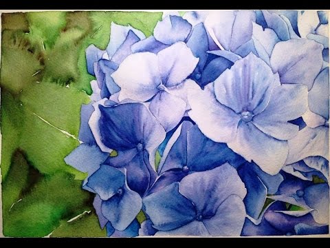 480x360 How To Paint Blue Hydrangea With Watercolour Markers - Hydrangea Watercolor Painting