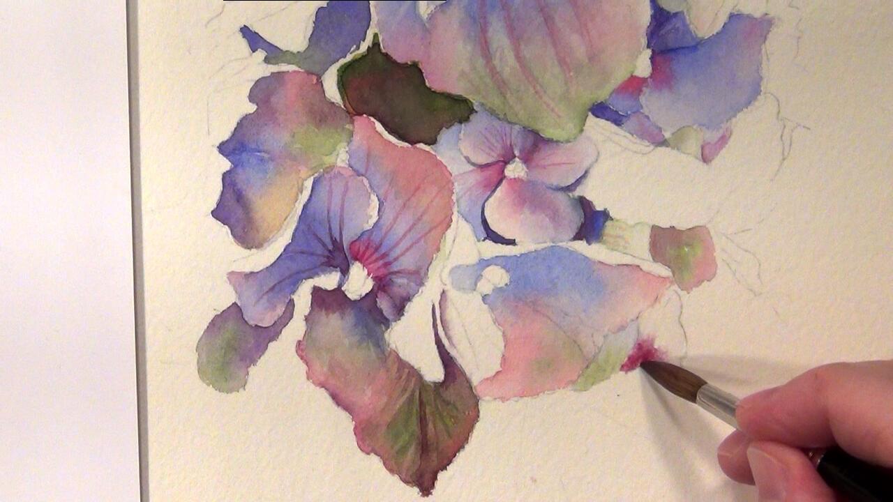1280x720 How To Paint Hydrangeas - Hydrangea Watercolor Painting