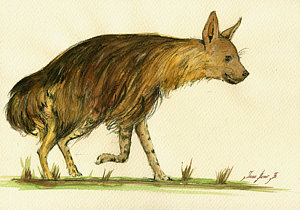 300x210 Hyena Paintings Fine Art America - Hyena Painting