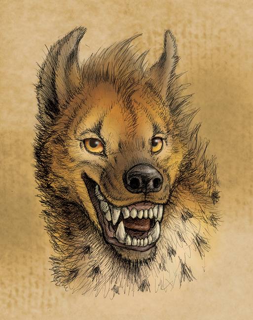 513x650 Stunning Hyena Artwork For Sale On Fine Art Prints - Hyena Painting