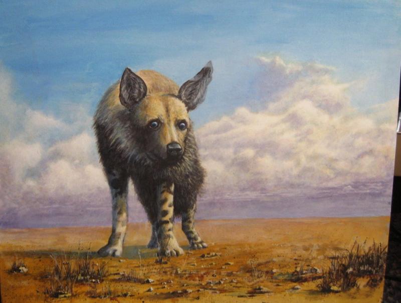 800x606 Brown Hyena - Hyena Painting