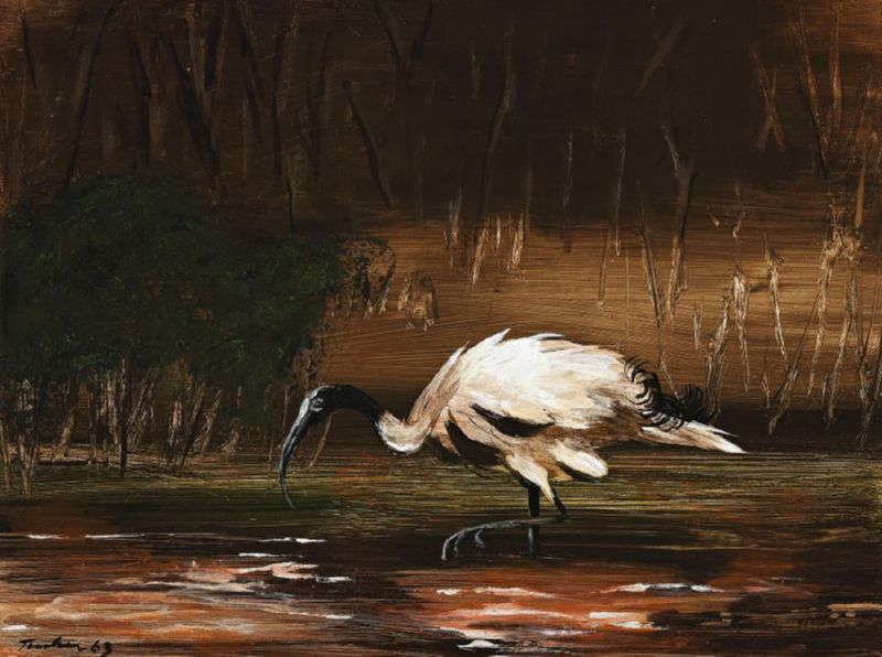 Ibis Painting