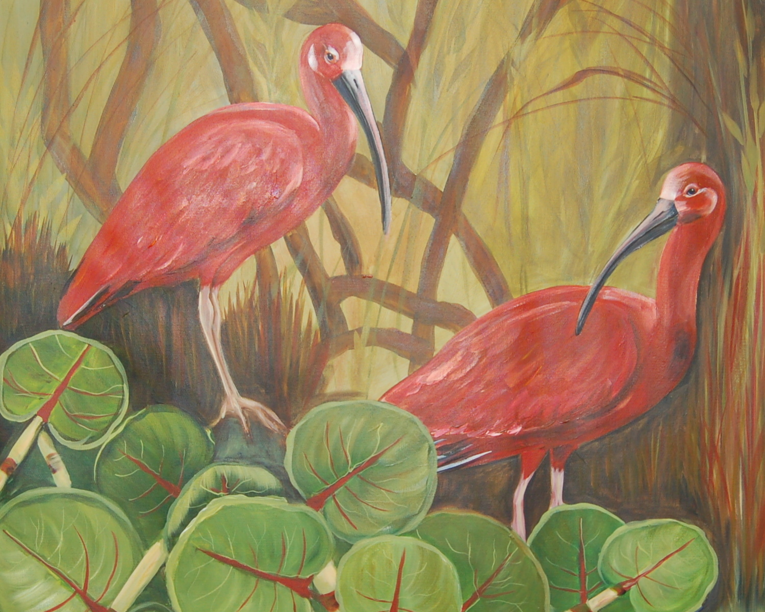 1500x1200 Two Ibis Painting Bottalico Gallery - Ibis Painting