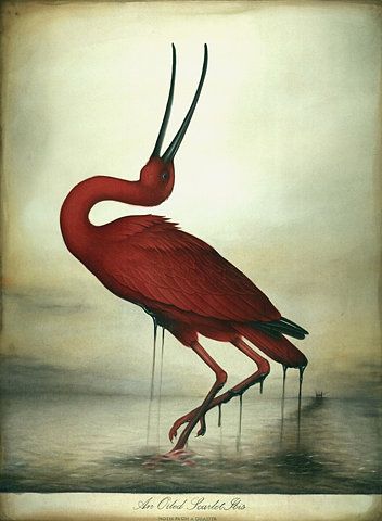 352x480 Oiled Scarlet Ibis Painting The Bird Scarlet, Oil - Ibis Painting