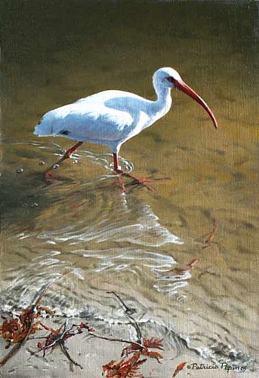 366x534 Ibis - Ibis Painting