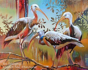 340x270 Ibis Painting Etsy - Ibis Painting